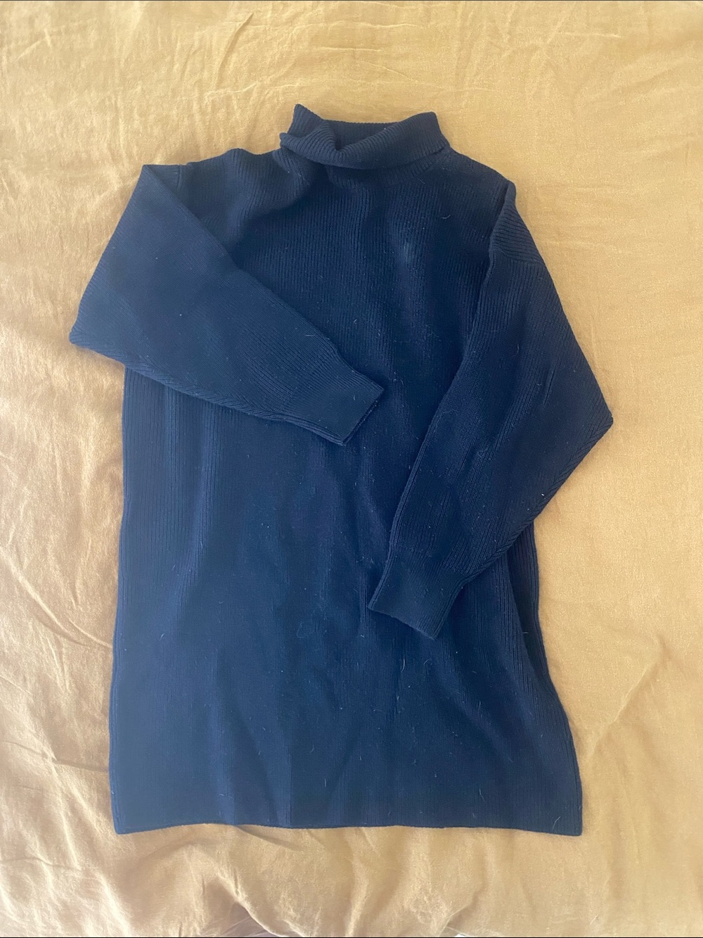 Aritzia Babaton Black Ribbed Turtleneck Sweater Dress